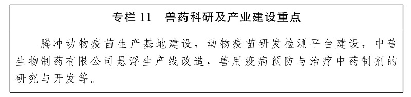 Column 11.jpg